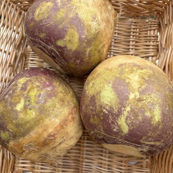 Swede