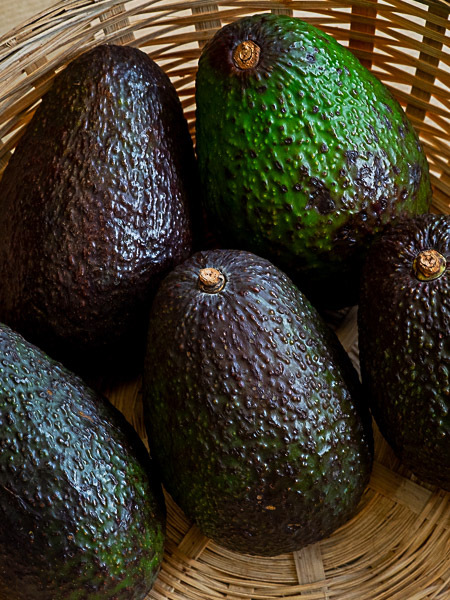 Avocado HASS