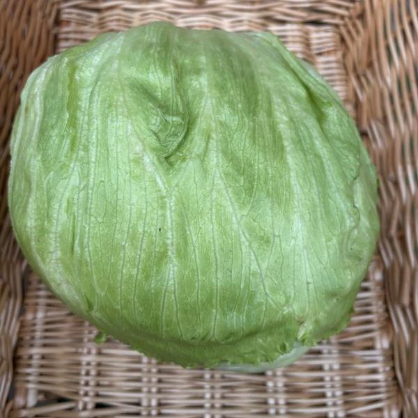 Iceberg Lettuce