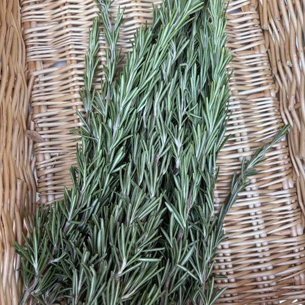 Rosemary Bunch Small