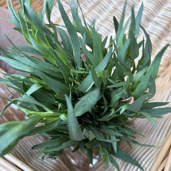 Tarragon bunch