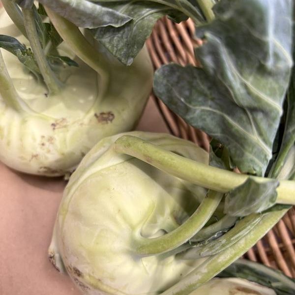 Kohl Rabi