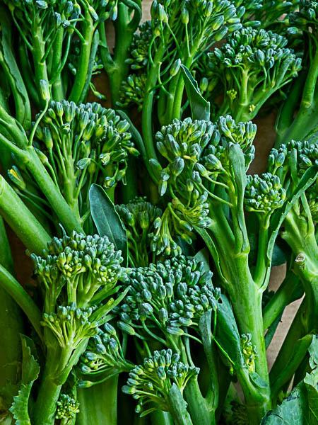 Broccoli Tenderstem