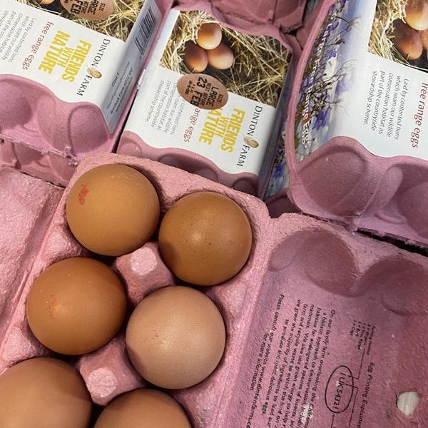 Large Eggs