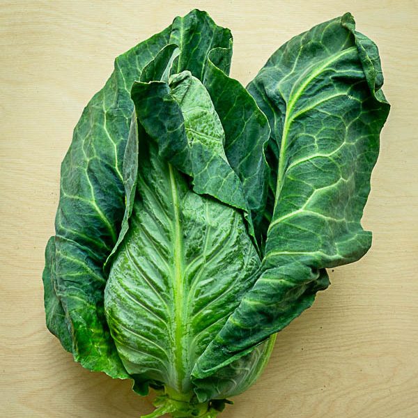 Cabbage Hispi