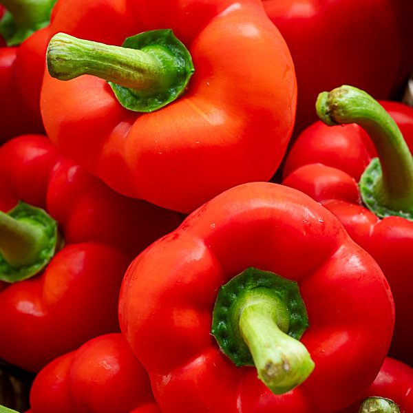Peppers Red