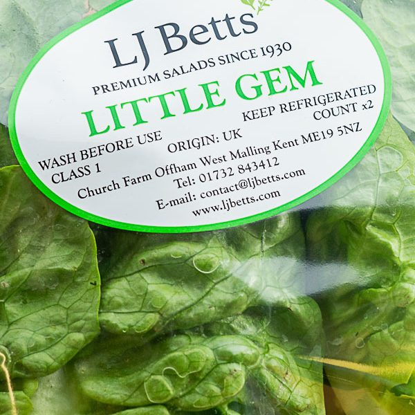 Little Gem Lettuce