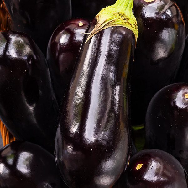 Aubergine