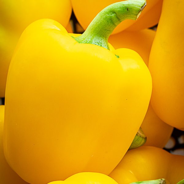 Peppers Yellow