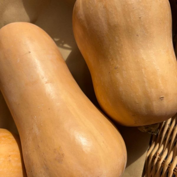 Butternut Squash
