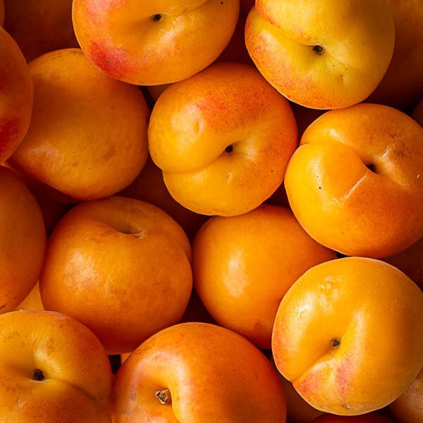 Apricots